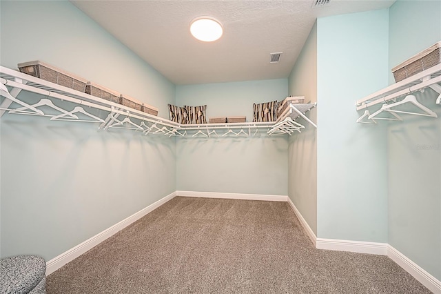 walk in closet with carpet and visible vents