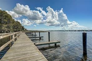 4324 Auston Way, Palm Harbor, FL 34685 - photo 50