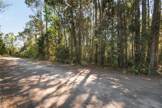 9670 S Lotus Pt, Homosassa FL, 34448 land for sale