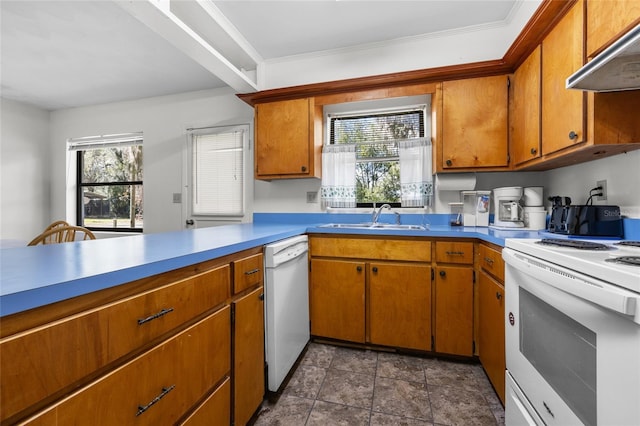 kitchen with white appliances, brown cabinetry, a sink, and under cabinet range hood