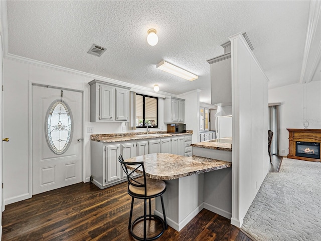 kitchen featuring a sink, visible vents, gray cabinets, and dark wood-style flooring