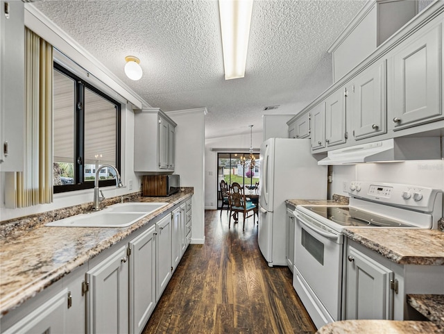 kitchen with dark wood-style floors, white electric range oven, light countertops, a sink, and under cabinet range hood