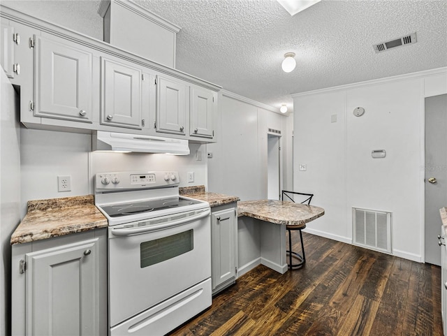 kitchen featuring under cabinet range hood, dark wood-style floors, visible vents, and white range with electric cooktop