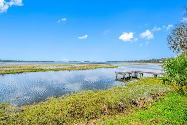 dock area featuring a water view