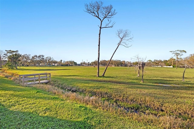 view of property's community featuring a rural view and a yard