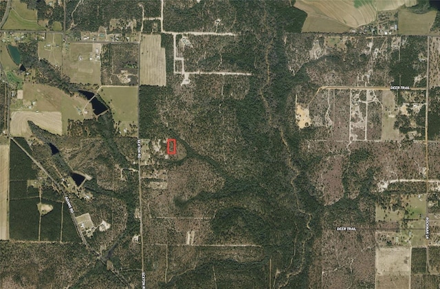 Listing photo 3 for Sexton Rd, Defuniak Springs FL 32433