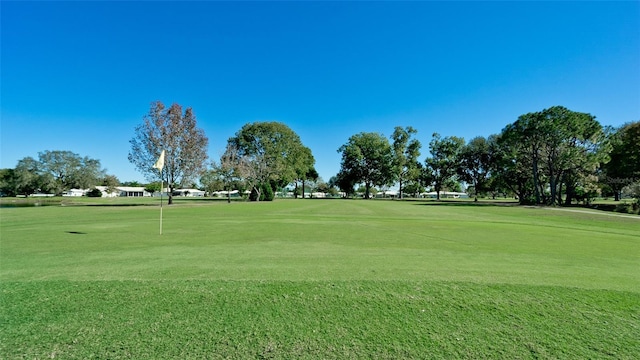 1320 Bottlebrush Dr, Bradenton, FL 34208 - surrounding community with view of golf course and a lawn