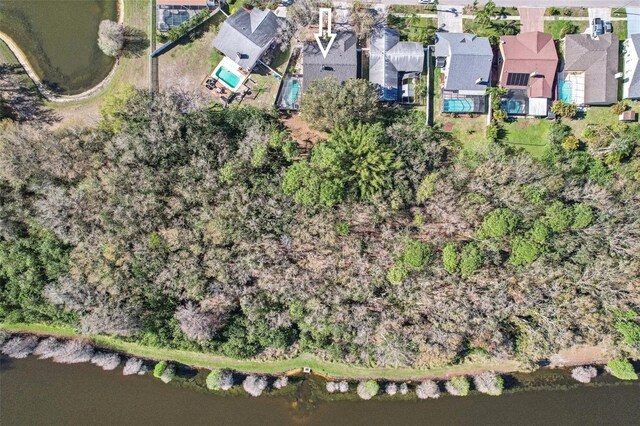 12030 Steppingstone Blvd, Tampa, FL 33635 - photo 32