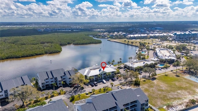 aerial view with a water view