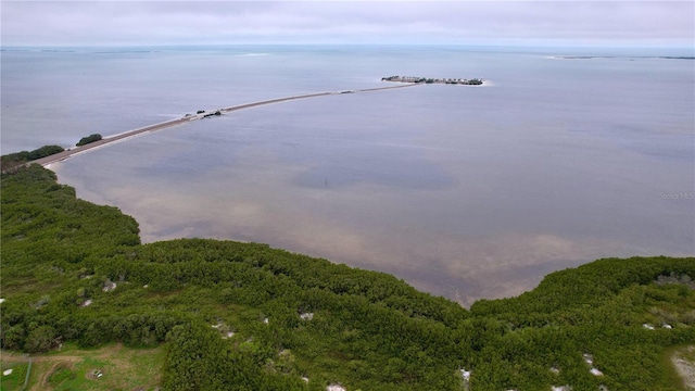 bird's eye view with a water view and a view of trees