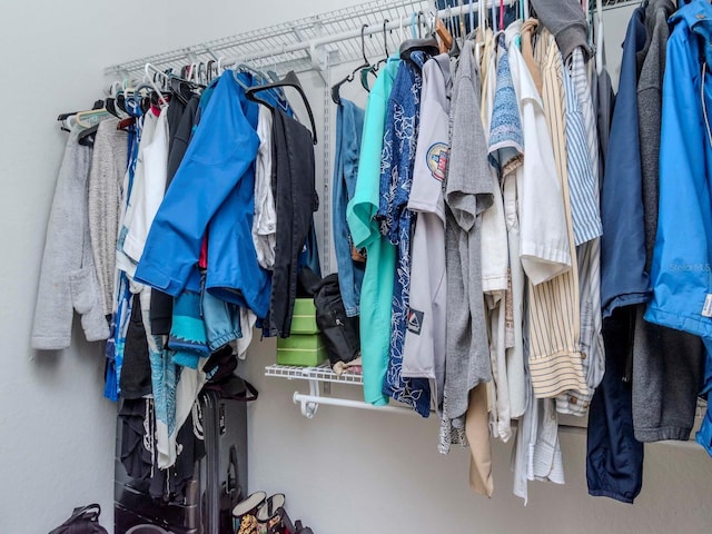 view of spacious closet