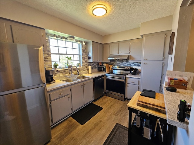 kitchen with under cabinet range hood, gray cabinetry, a sink, appliances with stainless steel finishes, and light wood-type flooring