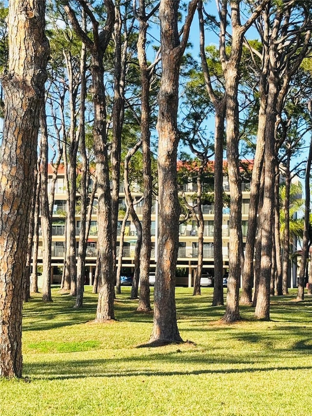 view of home's community featuring a yard