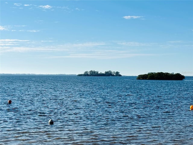 view of water feature