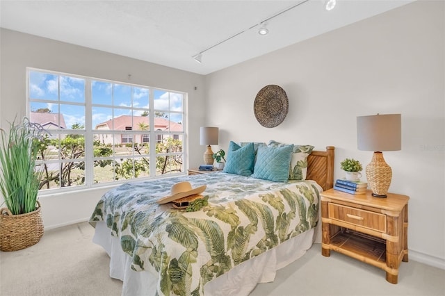 bedroom featuring carpet, rail lighting, and baseboards