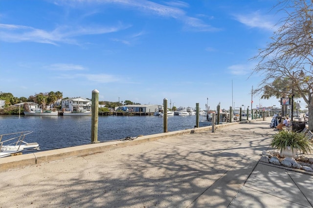 dock area with a water view