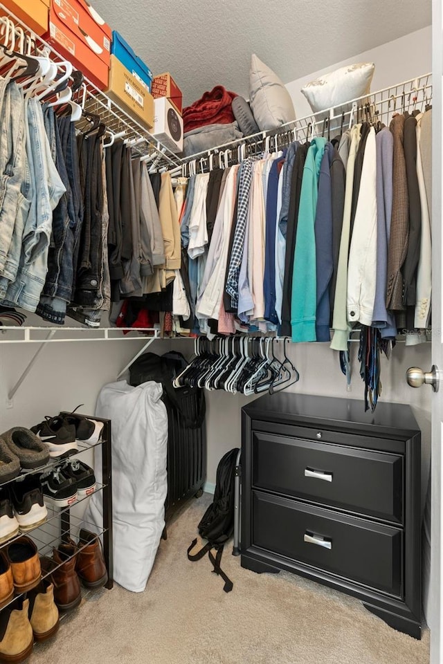 walk in closet featuring carpet floors