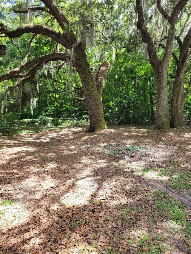 view of nature featuring a forest view