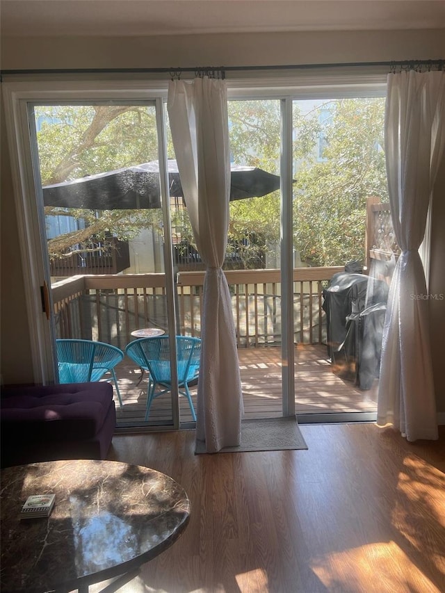 entryway featuring wood finished floors