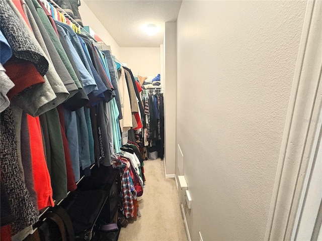 3128 Bayshore Oaks Dr, Tampa, FL 33611 - spacious closet featuring carpet