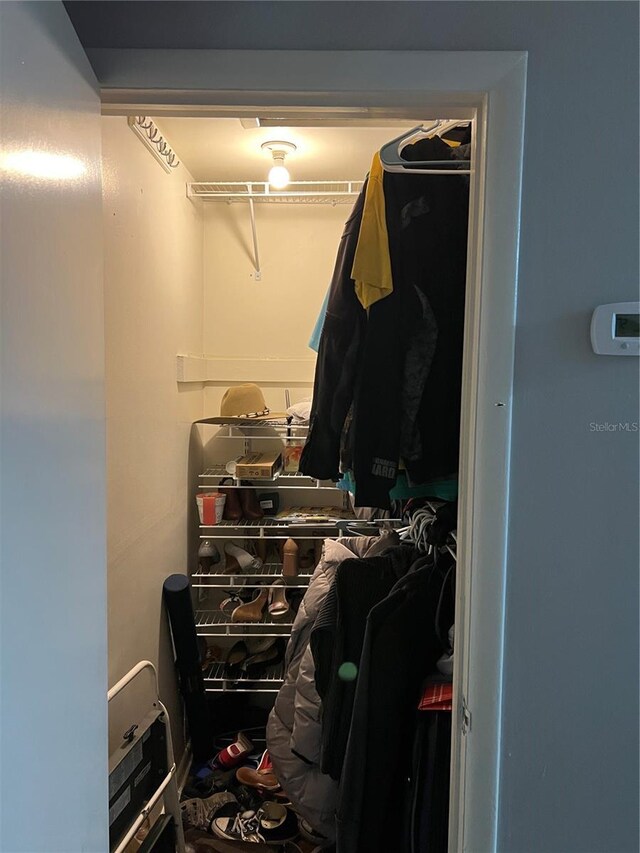 view of walk in closet