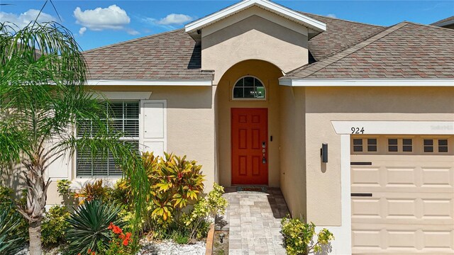 924 Peregrine Hill Pl, Ruskin, FL 33570 - photo 8