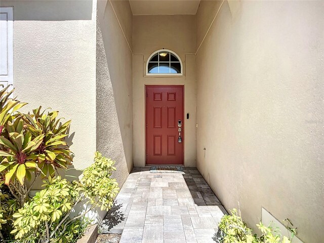 924 Peregrine Hill Pl, Ruskin, FL 33570 - photo 9