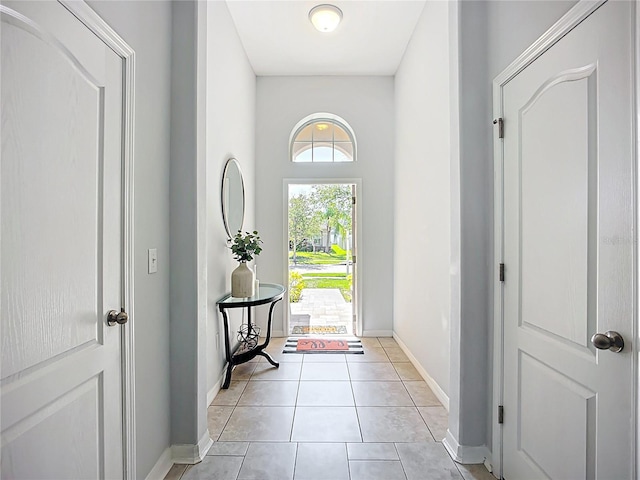 924 Peregrine Hill Pl, Ruskin, FL 33570 - photo 10
