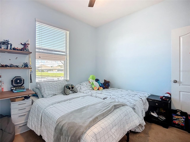 924 Peregrine Hill Pl, Ruskin, FL 33570 - photo 37