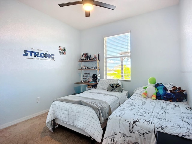 924 Peregrine Hill Pl, Ruskin, FL 33570 - photo 38