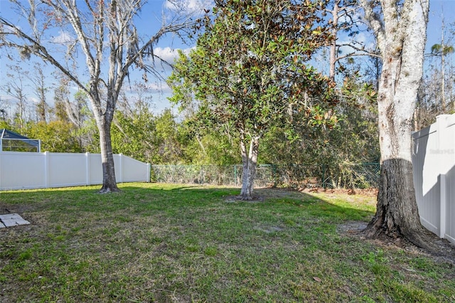 view of yard featuring a fenced backyard