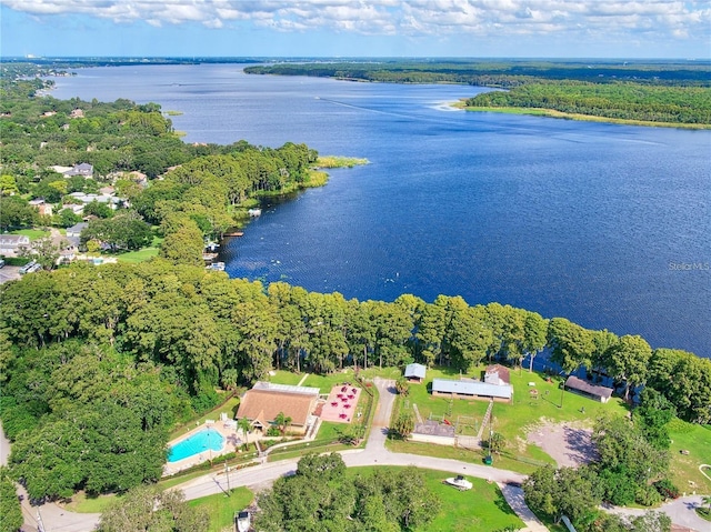 birds eye view of property with a water view and a forest view