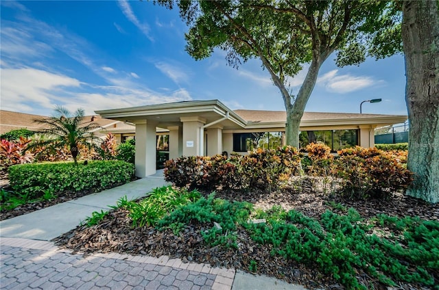 view of front of house featuring stucco siding