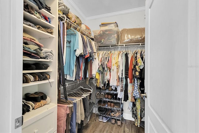 walk in closet with wood finished floors