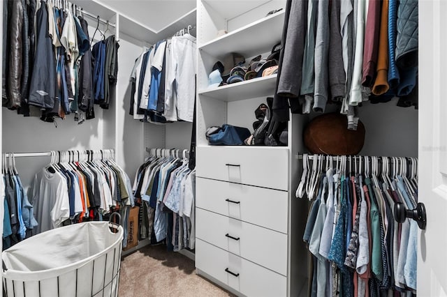 walk in closet featuring carpet floors