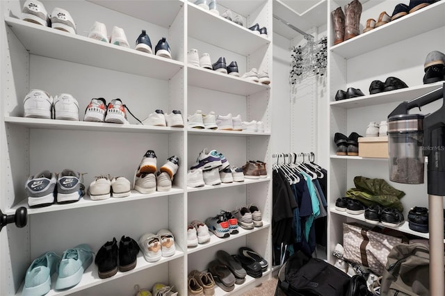 view of walk in closet