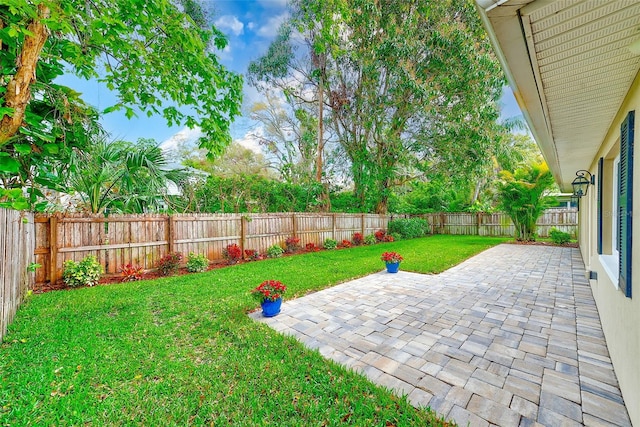 view of yard with a patio and a fenced backyard