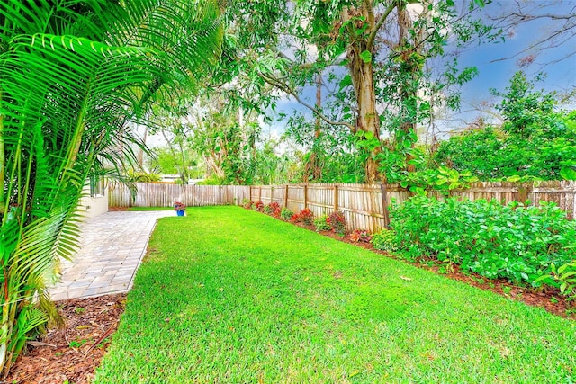 view of yard featuring a fenced backyard and a patio