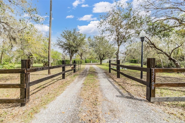 view of road with driveway