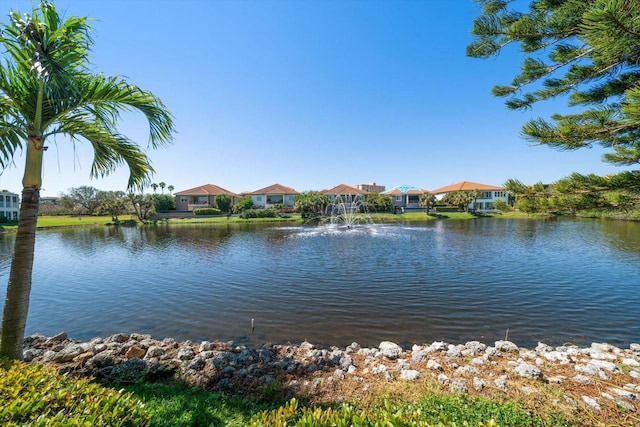 view of water feature