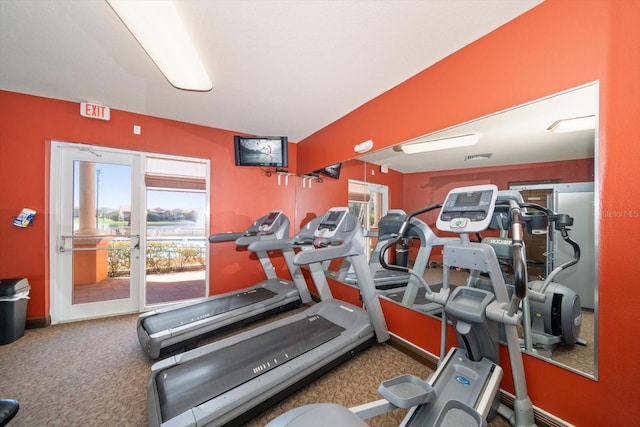 workout area with carpet flooring