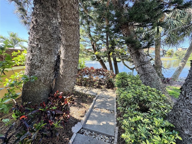 view of yard with a water view