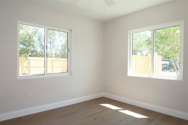 4019 W Lemon St, Tampa, FL 33609 - photo 22