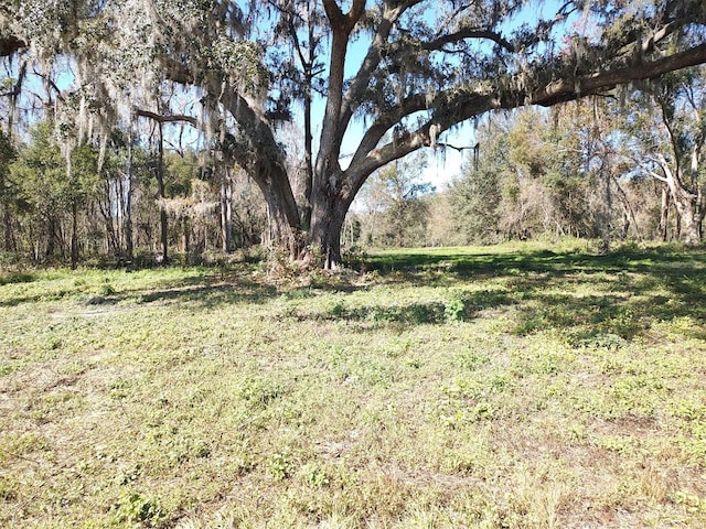 Listing photo 2 for 0 Mccann Ln, Dade City FL 33523