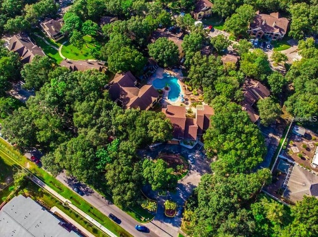 drone / aerial view