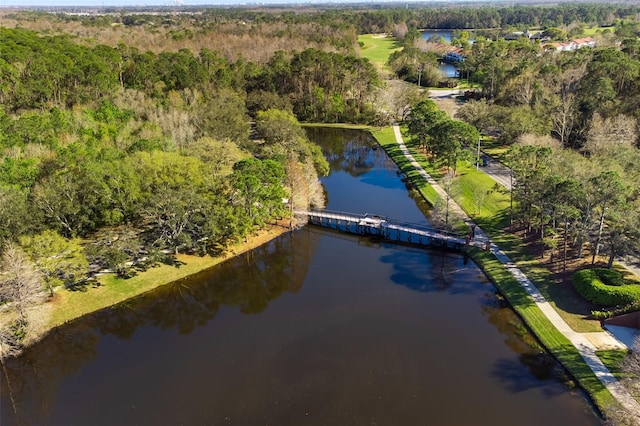 drone / aerial view with a water view and a view of trees