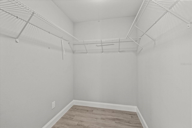 walk in closet featuring light wood finished floors