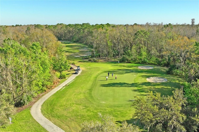 view of community featuring a forest view and a lawn