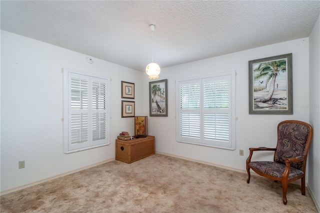 12172 SE 96th Ter, Belleview, FL 34420 - living area featuring carpet floors, a textured ceiling, and baseboards