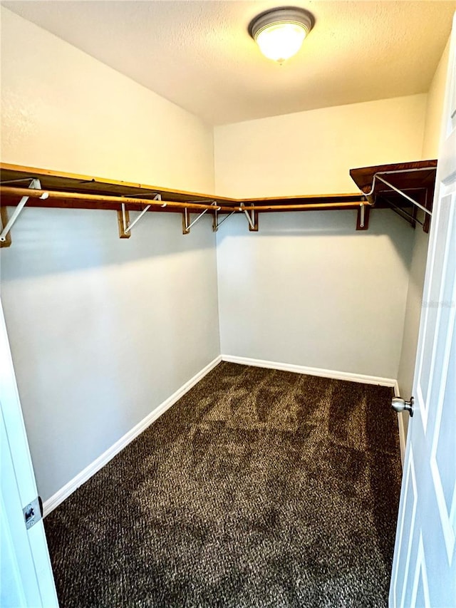 spacious closet featuring dark colored carpet